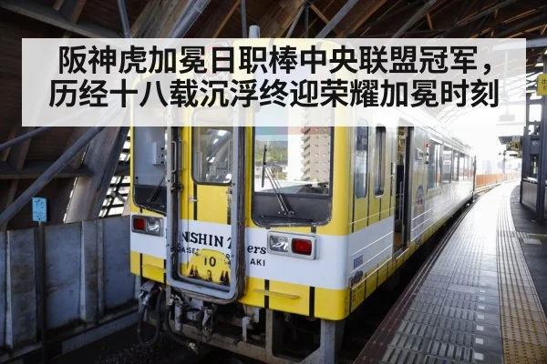 阪神虎加冕日职棒中央联盟冠军，历经十八载沉浮终迎荣耀加冕时刻