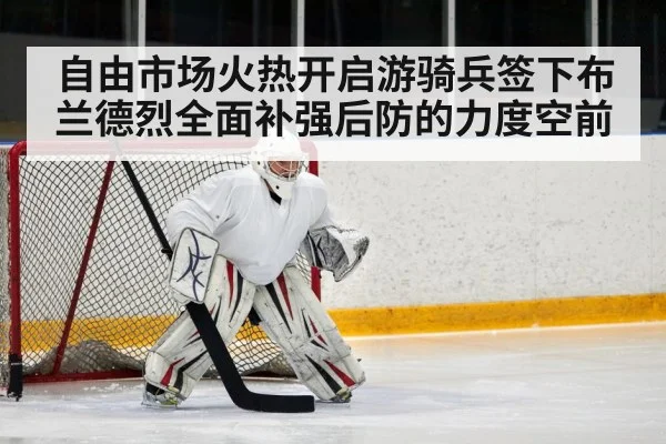 ice hockey defenseman